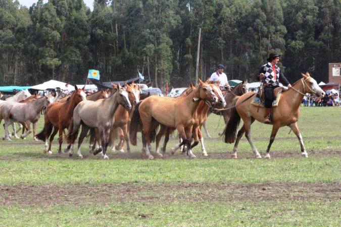 fiesta de las tropillas loberia